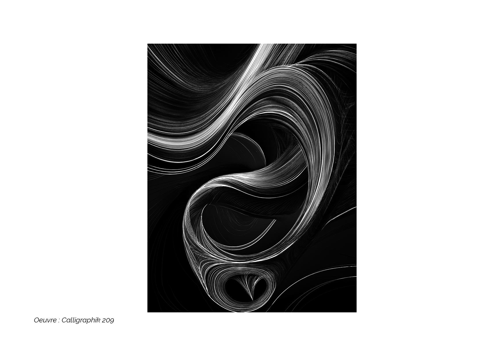 Calligraphik - Oeuvre noir et blanc. Tirage Fine Art en édition limitée, Franck Chastanier