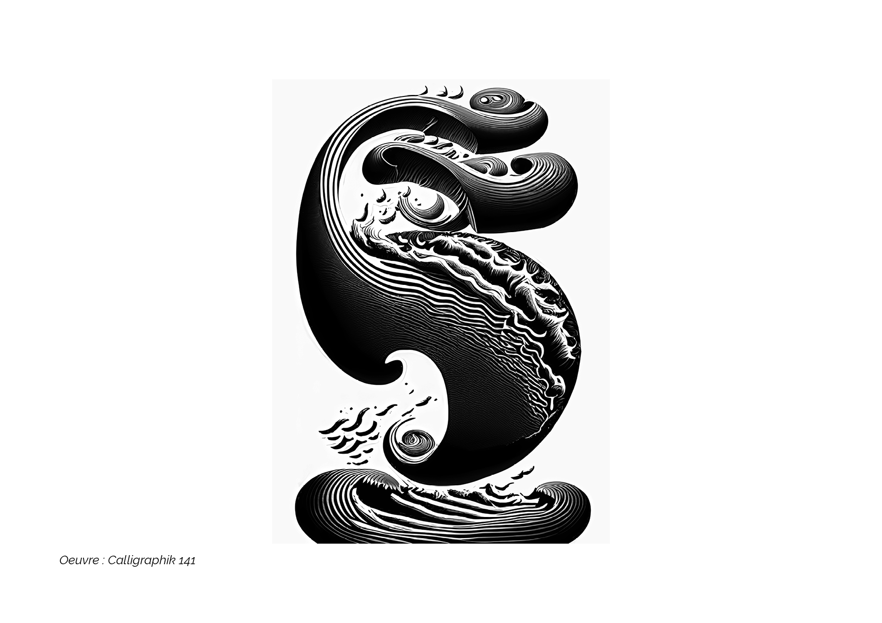 Calligraphik - Oeuvre noir et blanc. Tirage Fine Art en édition limitée, Franck Chastanier