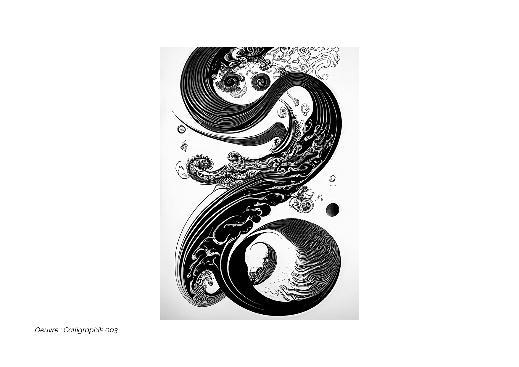 Calligraphik - Oeuvre noir et blanc. Tirage Fine Art en édition limitée, Franck Chastanier