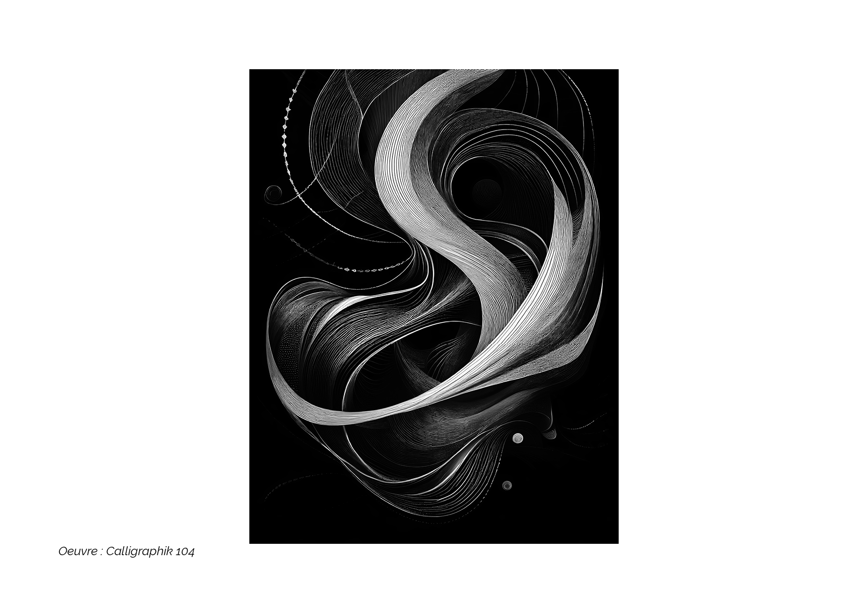 Calligraphik - Oeuvre noir et blanc. Tirage Fine Art en édition limitée, Franck Chastanier