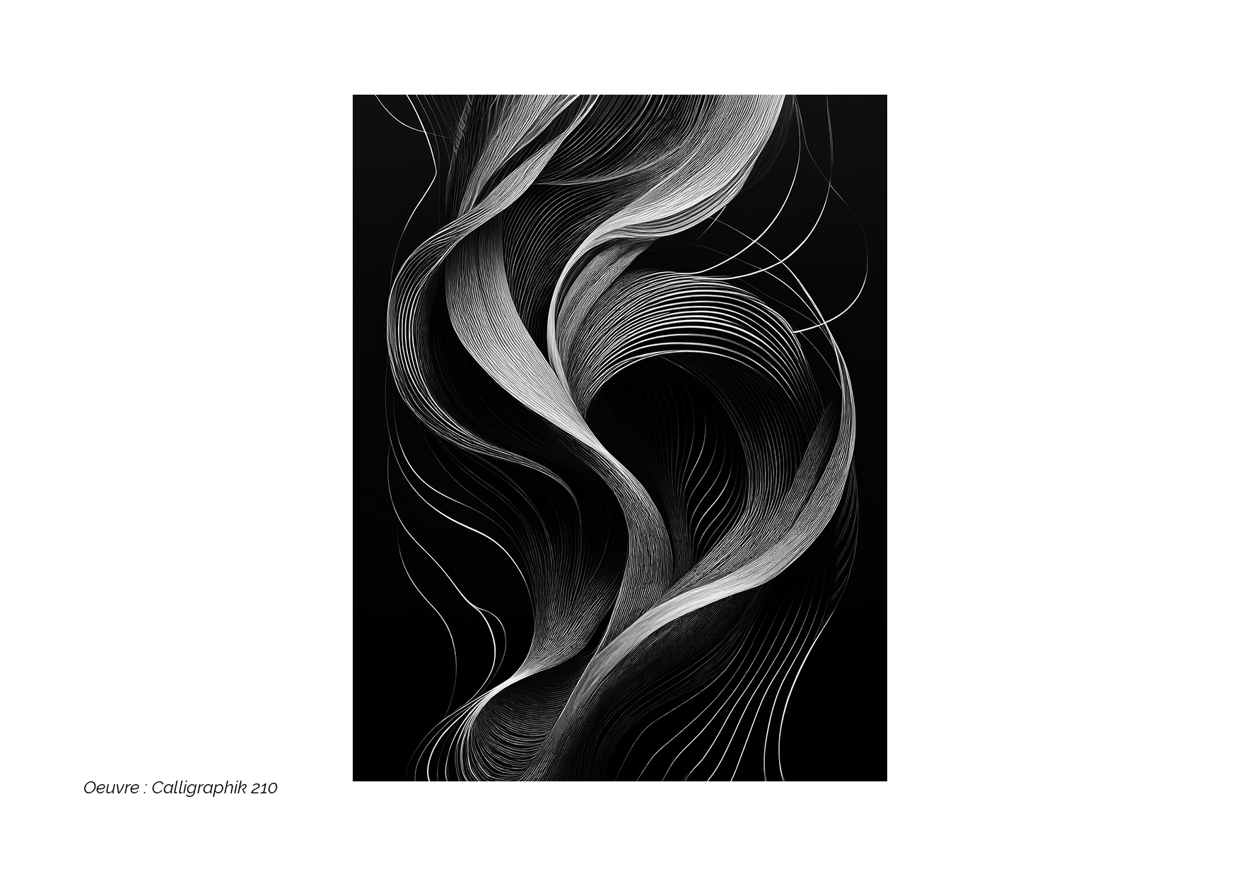 Calligraphik - Oeuvre noir et blanc. Tirage Fine Art en édition limitée, Franck Chastanier