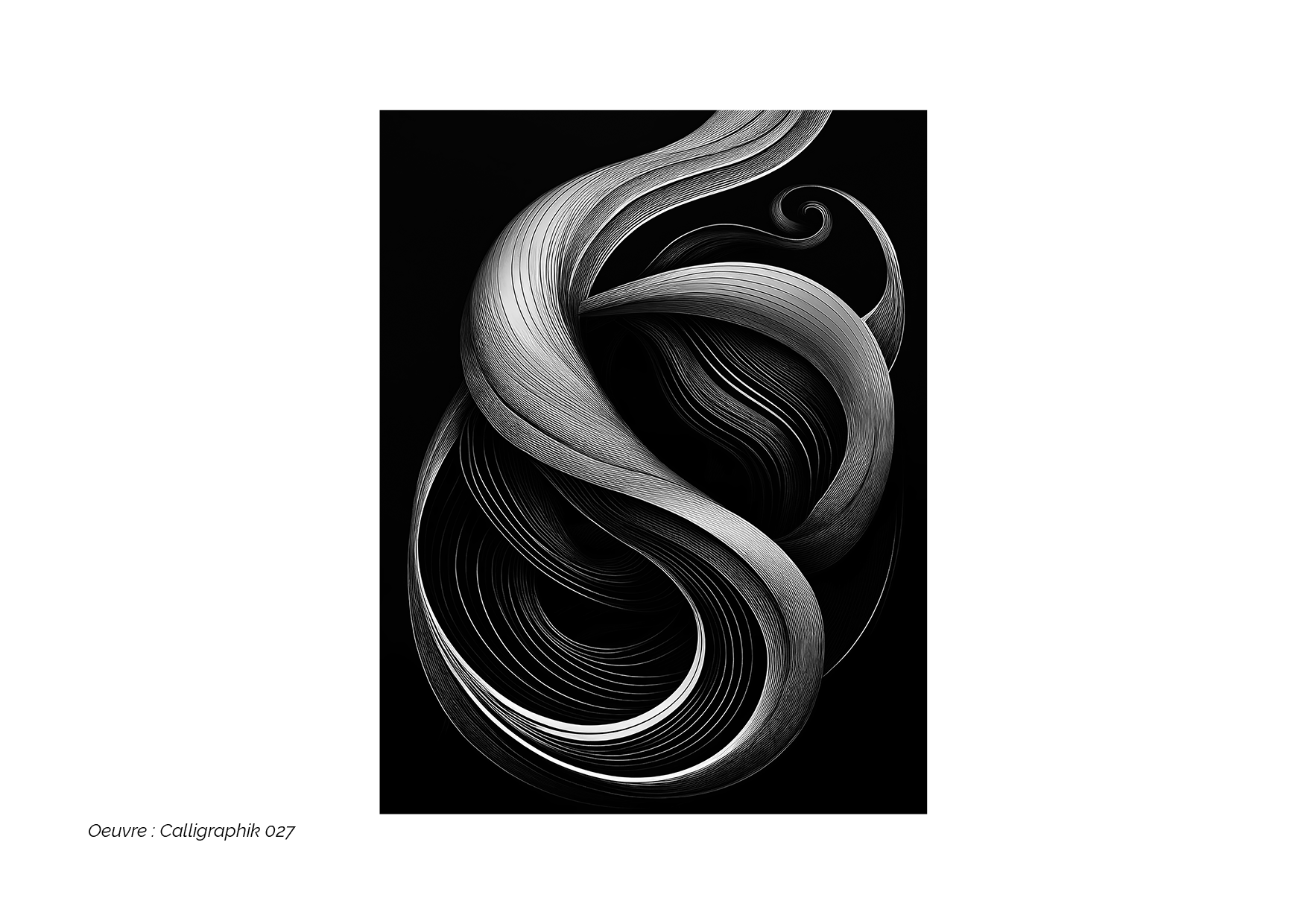 Calligraphik - Oeuvre noir et blanc. Tirage Fine Art en édition limitée, Franck Chastanier