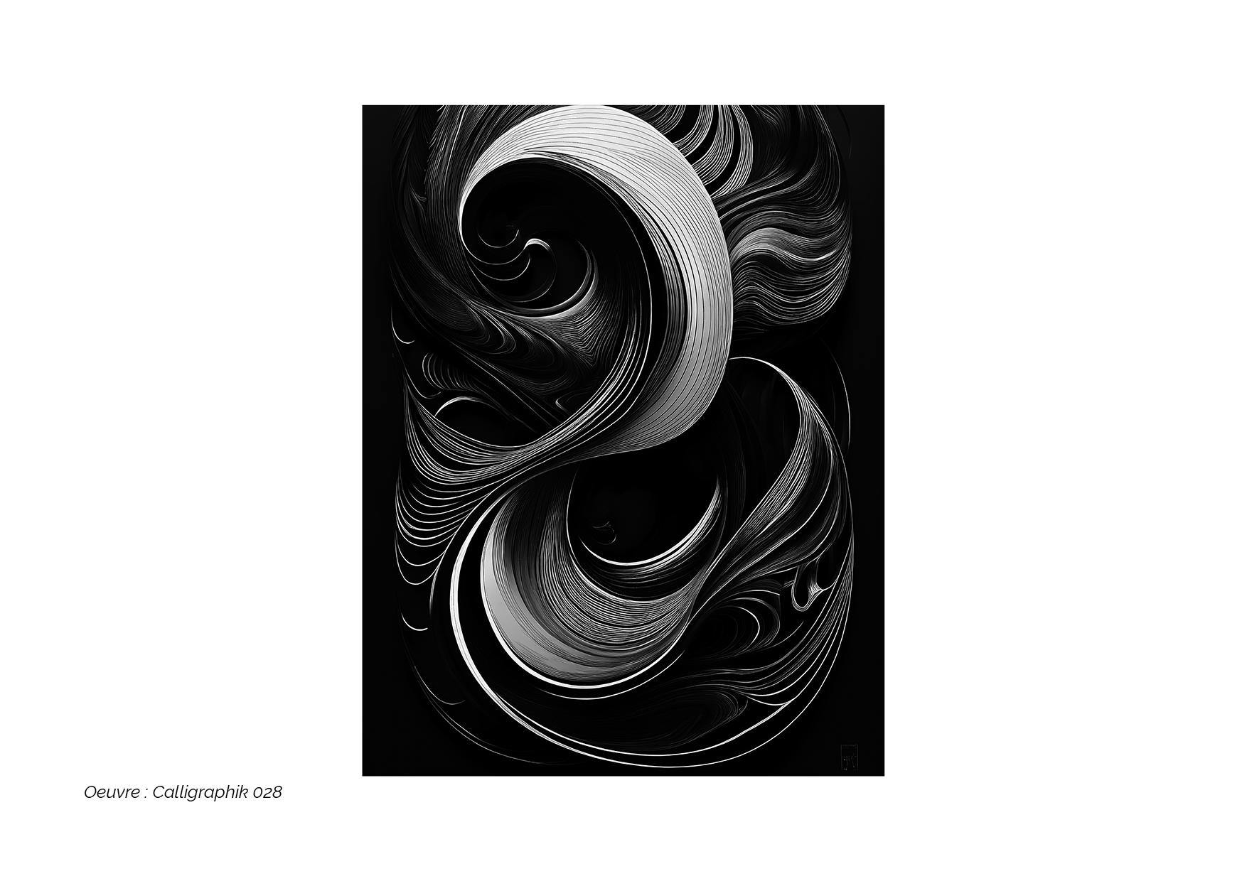 Calligraphik - Oeuvre noir et blanc. Tirage Fine Art en édition limitée, Franck Chastanier