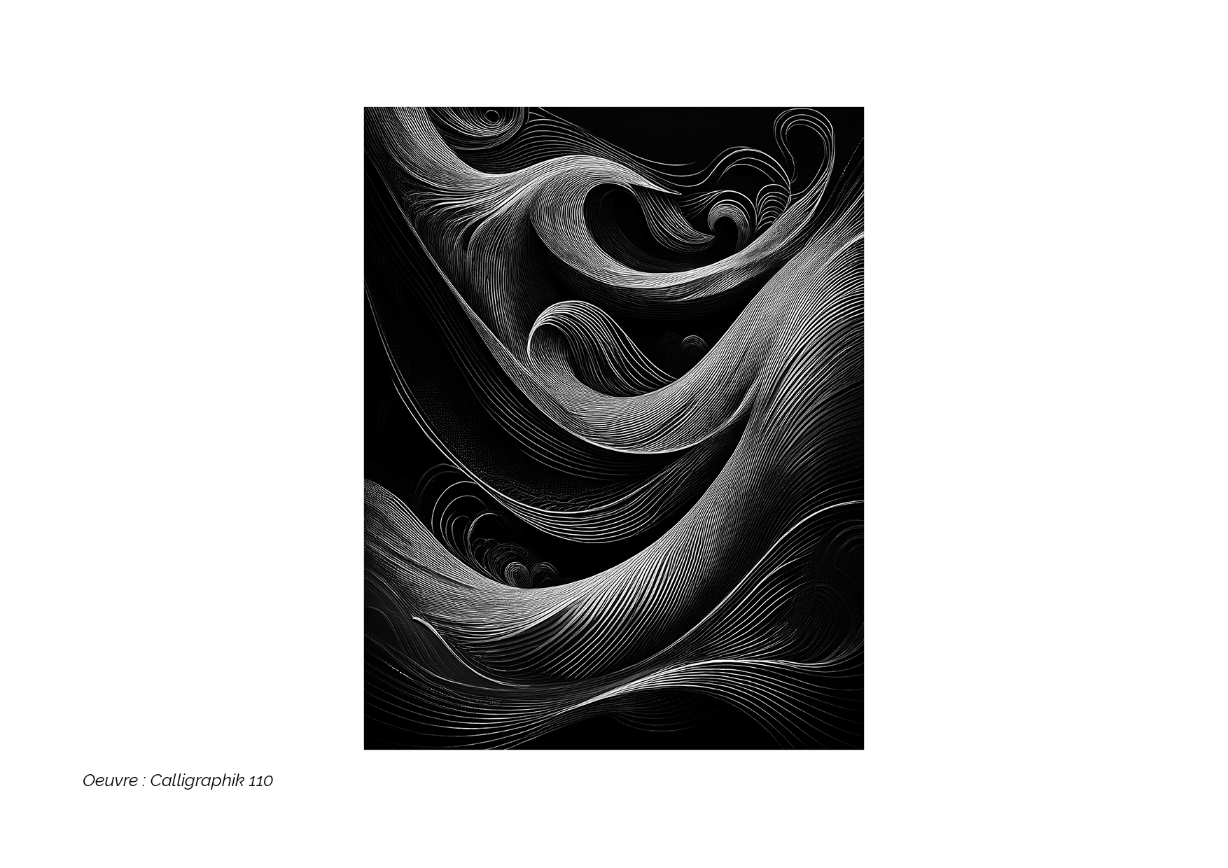 Calligraphik - Oeuvre noir et blanc. Tirage Fine Art en édition limitée, Franck Chastanier