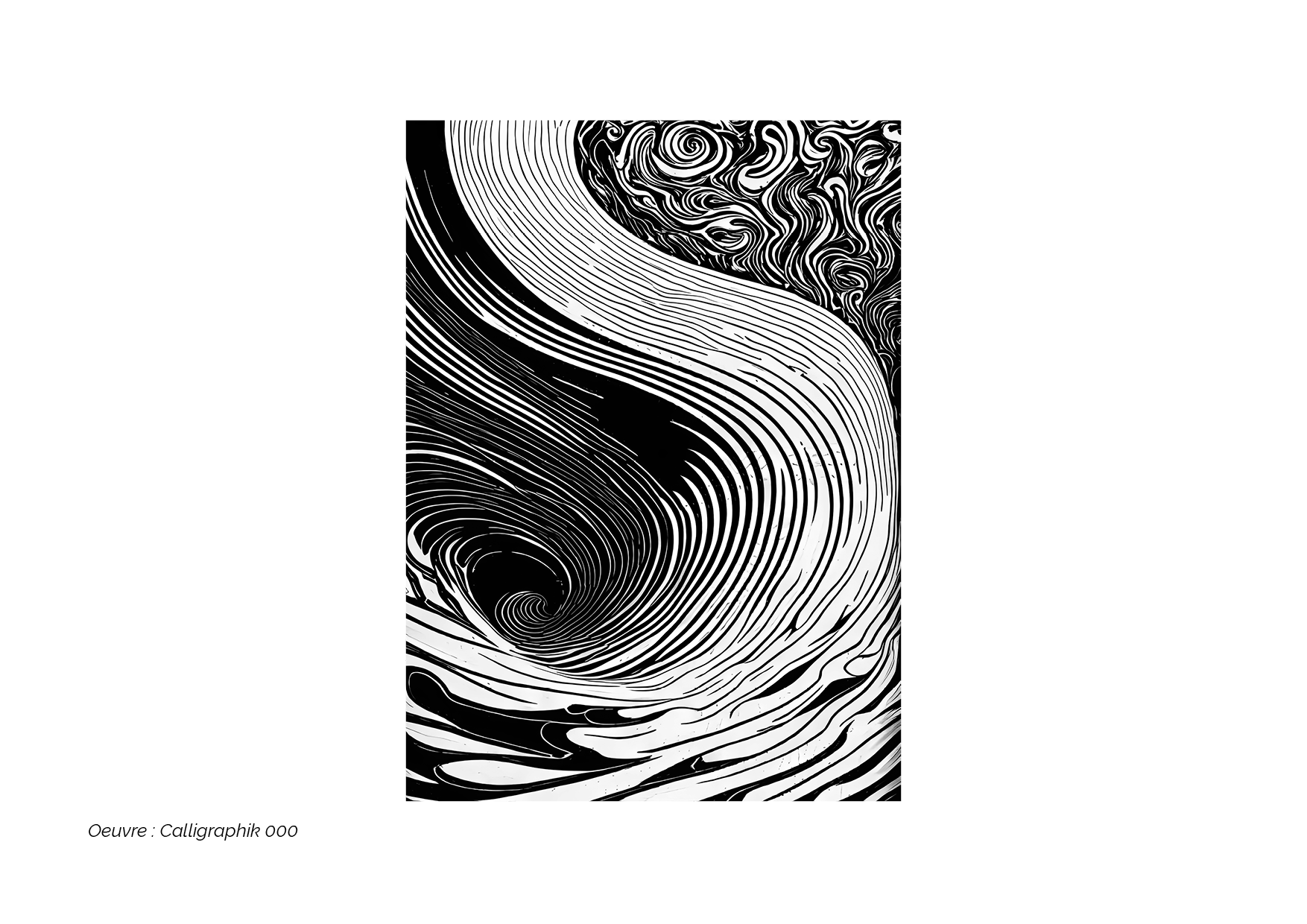 Calligraphik - Oeuvre noir et blanc. Tirage Fine Art en édition limitée, Franck Chastanier