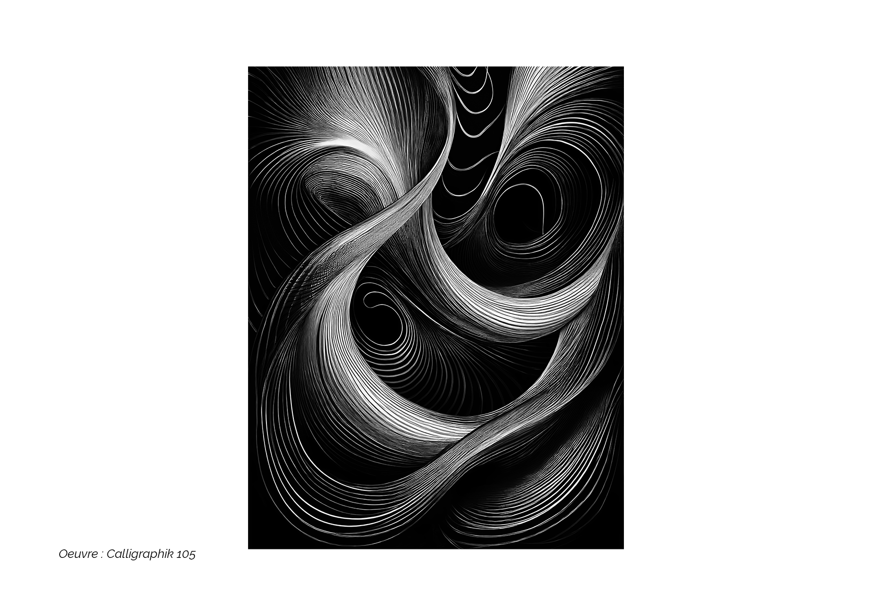 Calligraphik - Oeuvre noir et blanc. Tirage Fine Art en édition limitée, Franck Chastanier
