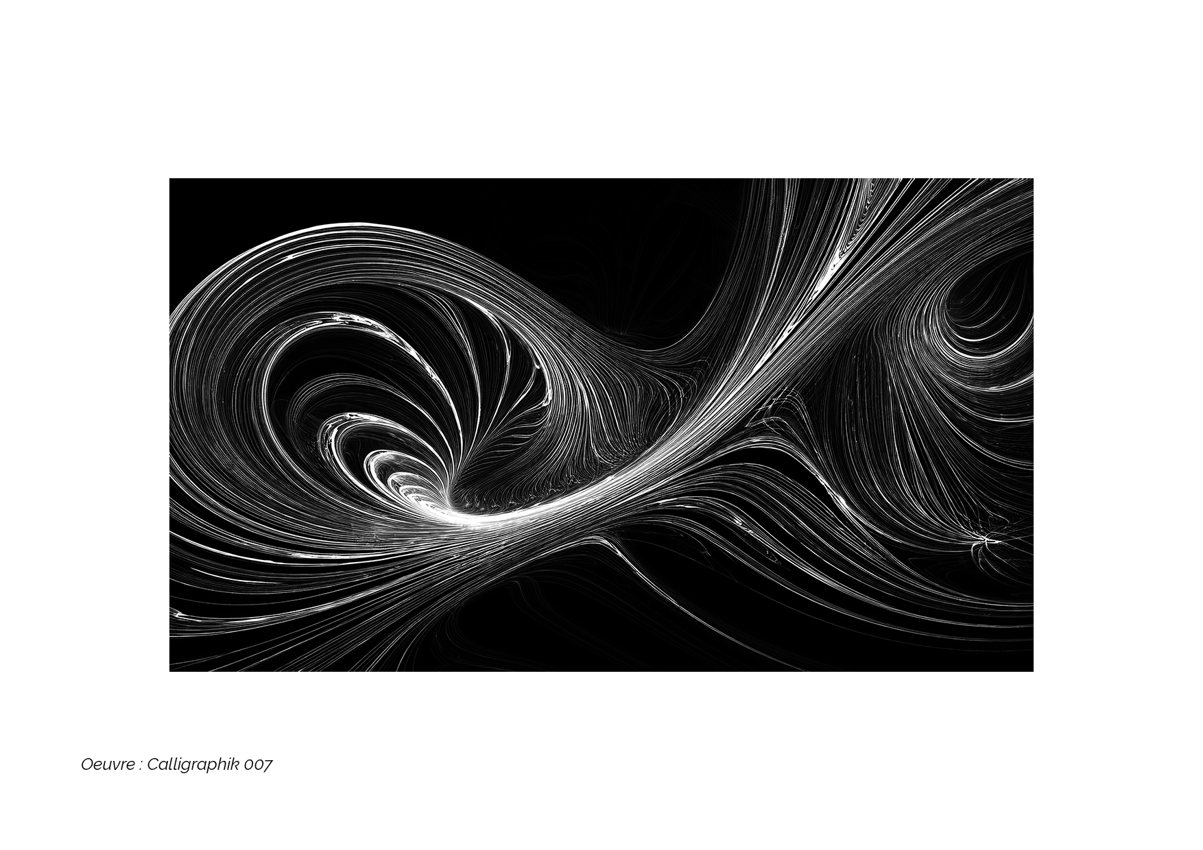 Calligraphik - Oeuvre noir et blanc. Tirage Fine Art en édition limitée, Franck Chastanier