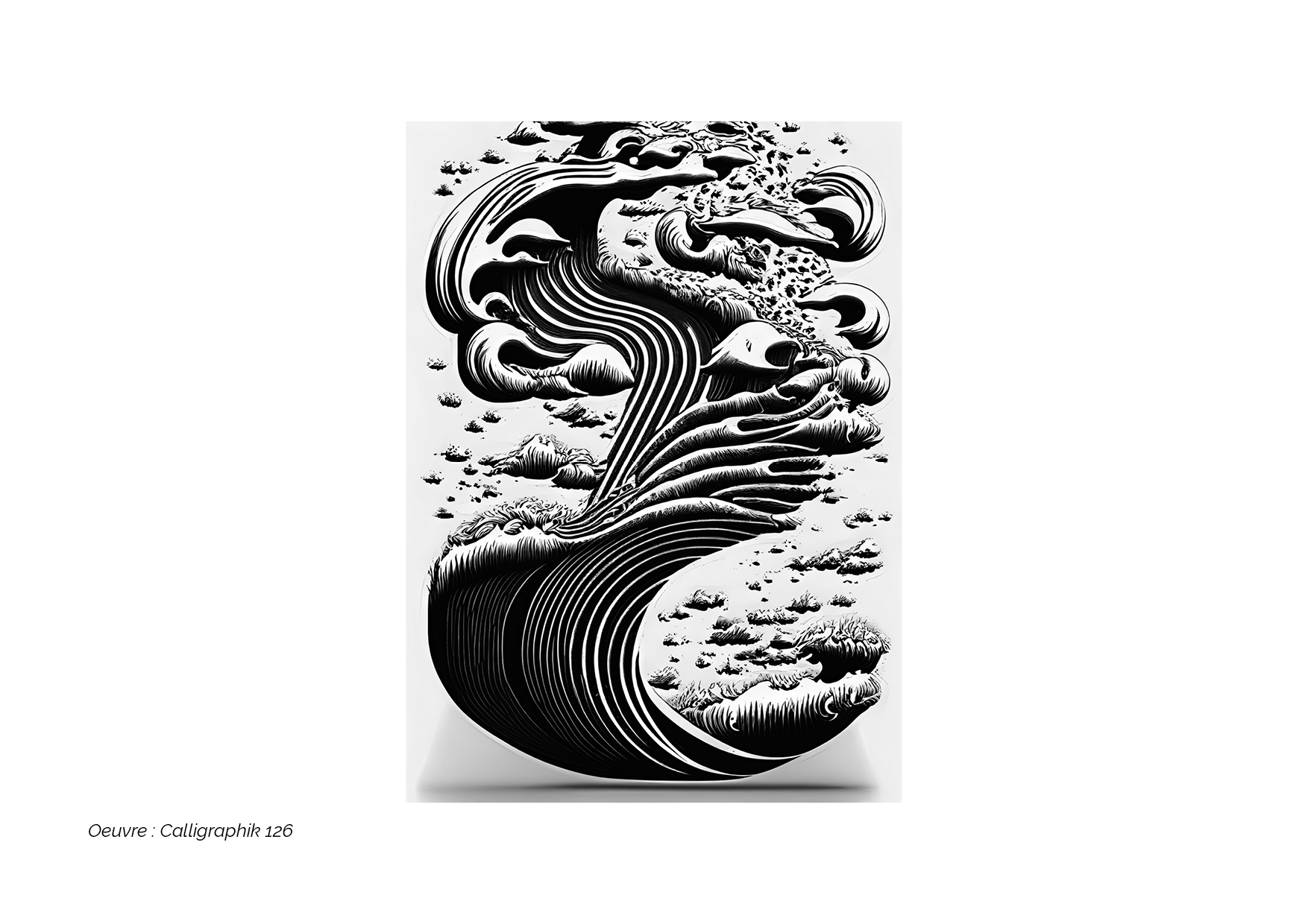 Calligraphik - Oeuvre noir et blanc. Tirage Fine Art en édition limitée, Franck Chastanier