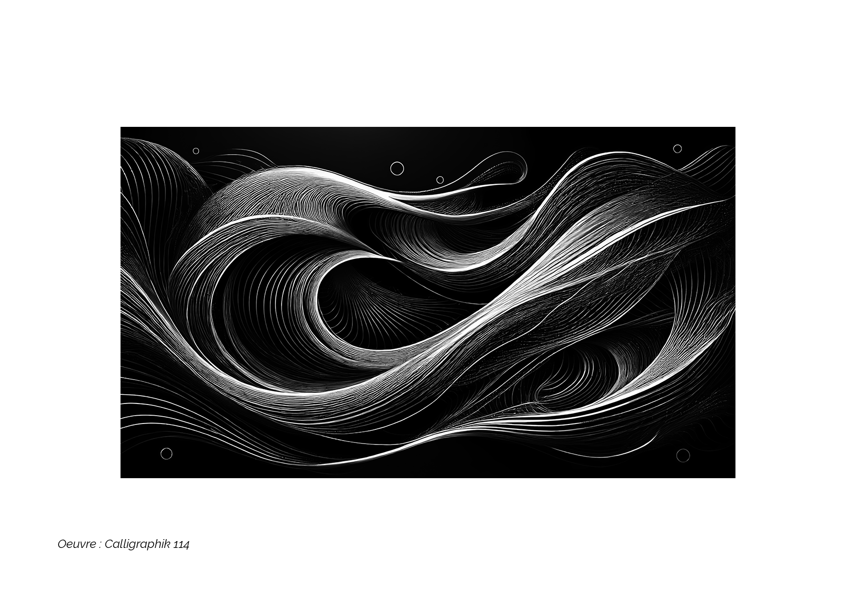 Calligraphik - Oeuvre noir et blanc. Tirage Fine Art en édition limitée, Franck Chastanier