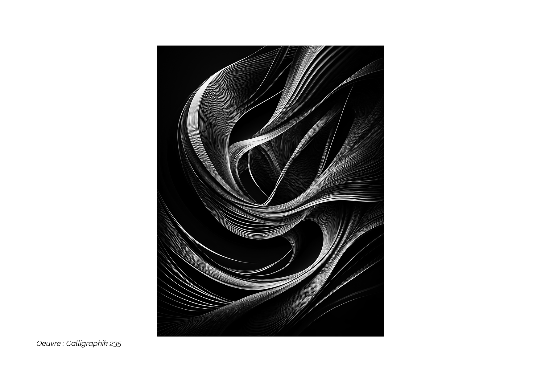 Calligraphik - Oeuvre noir et blanc. Tirage Fine Art en édition limitée, Franck Chastanier