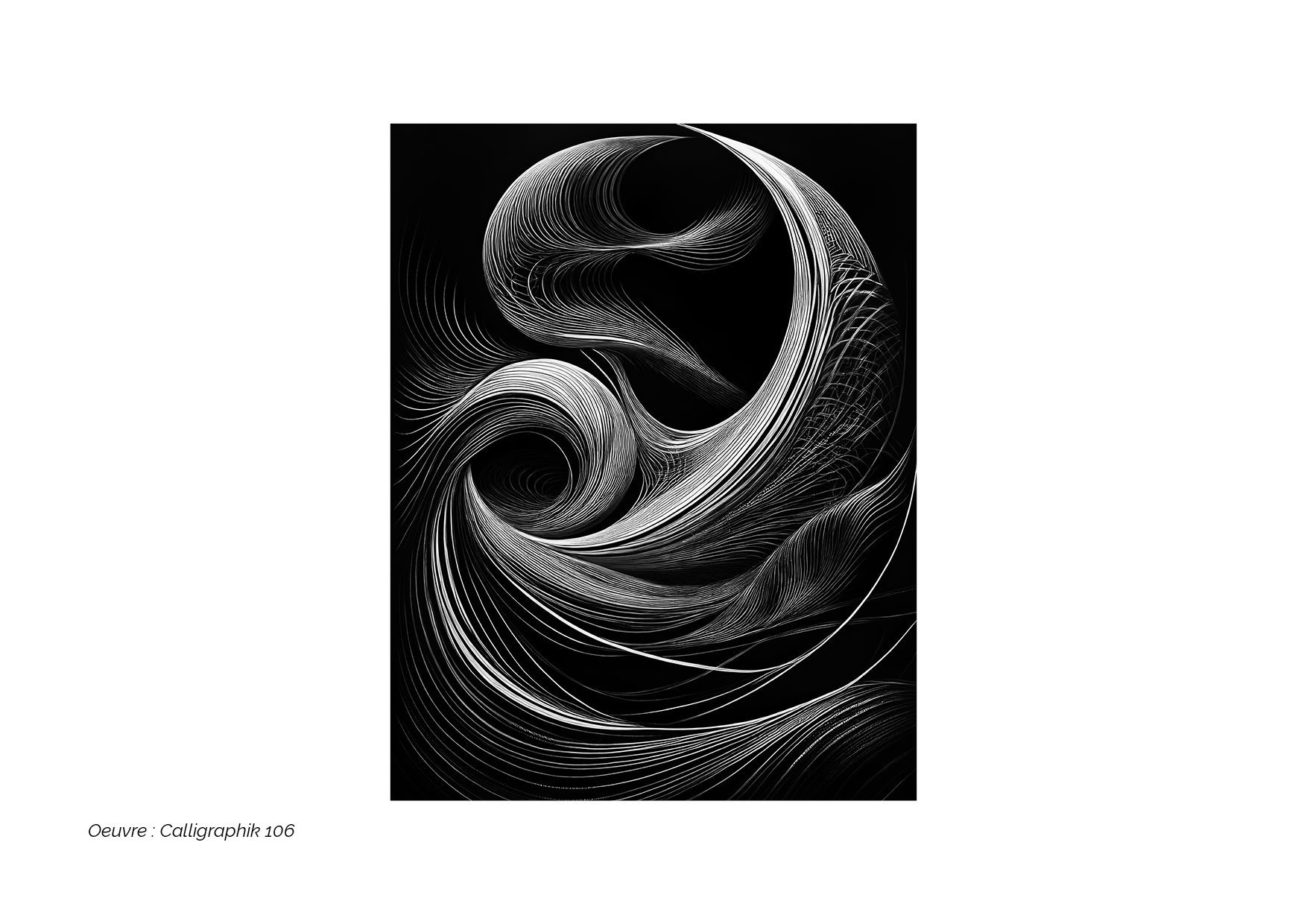 Calligraphik - Oeuvre noir et blanc. Tirage Fine Art en édition limitée, Franck Chastanier