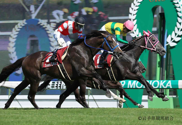 ジャパンジョッキーズカップ2019の結果について