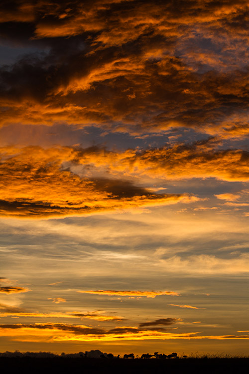 Maasai Mara: coucher de soleil