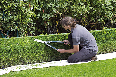 Opter pour un jardinier à domicile peut grandement faciliter la vie pour des travaux ponctuels. crédit photo : Pixabay©Ron Porter