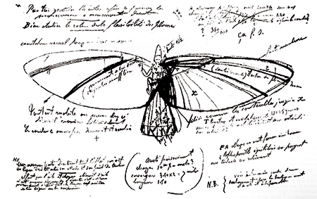 Fig.3 : L’oiseau en plumes (croquis de Clément Ader)
