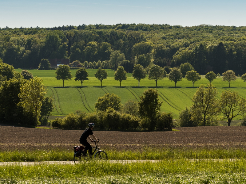 Unser Tipp für 2021: Fahrrad-Urlaub in Billerbeck