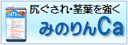 尻ぐされ・茎葉を強く「みのりんCa」