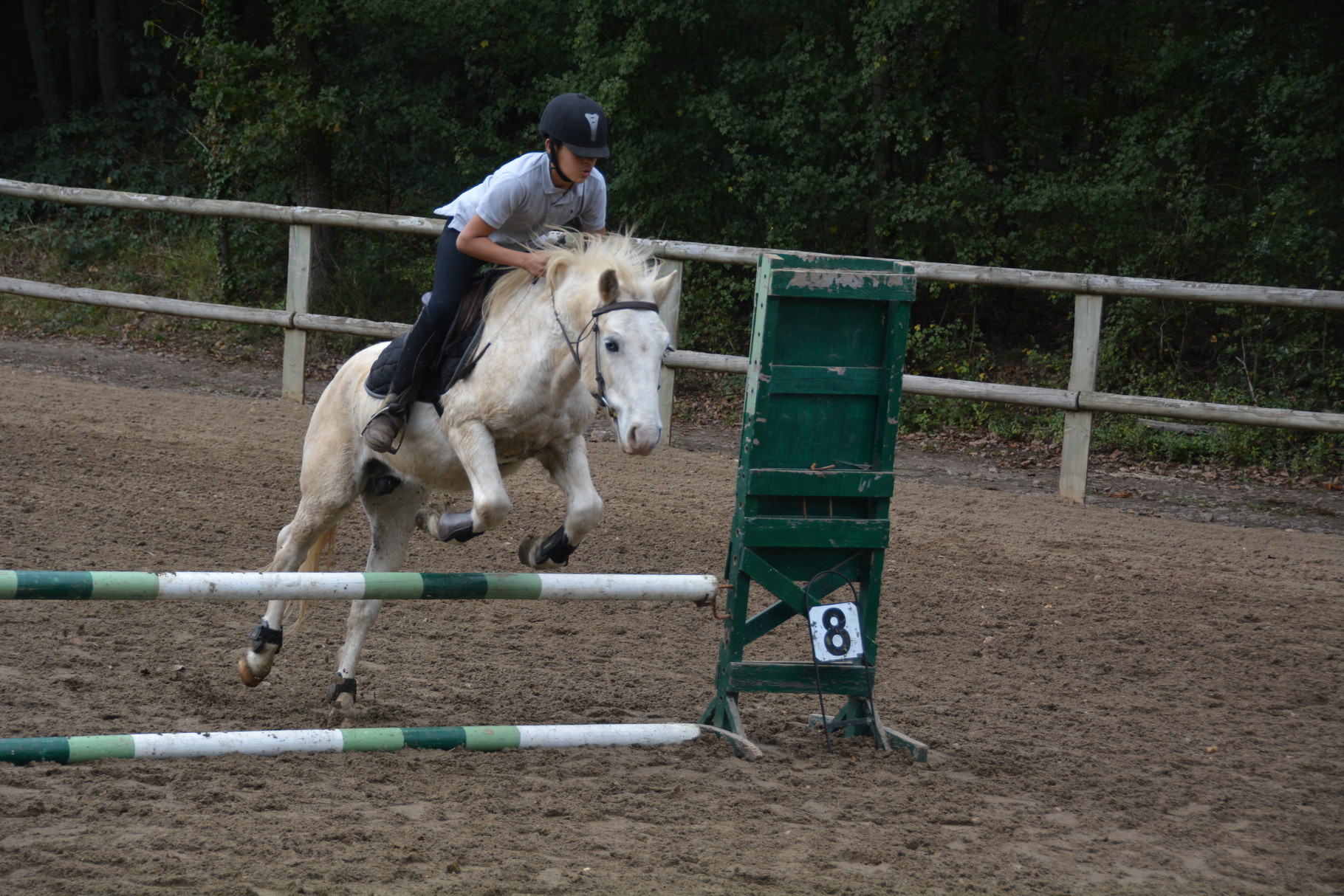Sofiane et Phebus