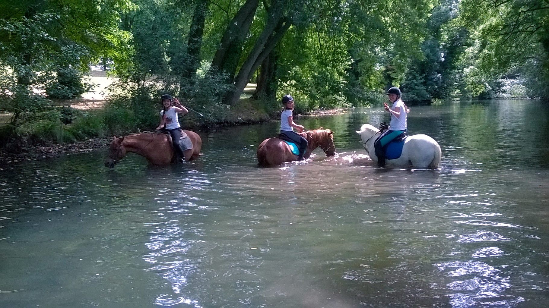 Quand il fait trop chaud, mieux vaut se mettre à l'eau!