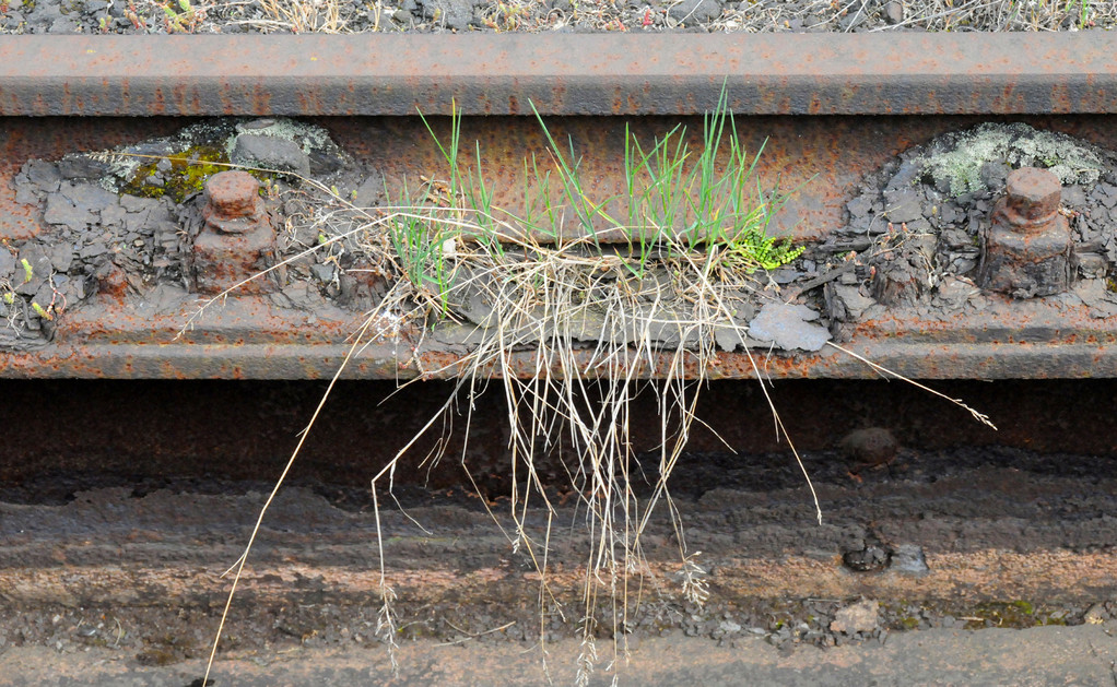 Landschaftspark Duisburg-Nord, 2010