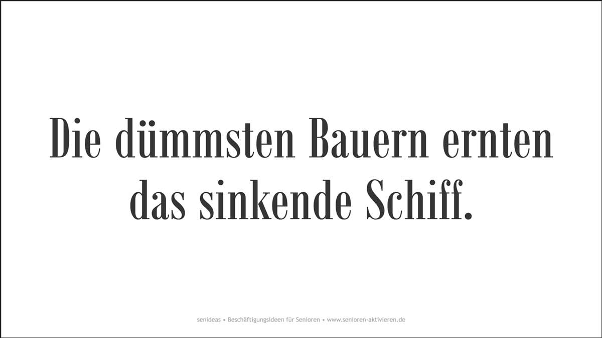 Get Sprichwoerter lustig verdreht For iPhone Sprichwoerter Lustig Verdreht