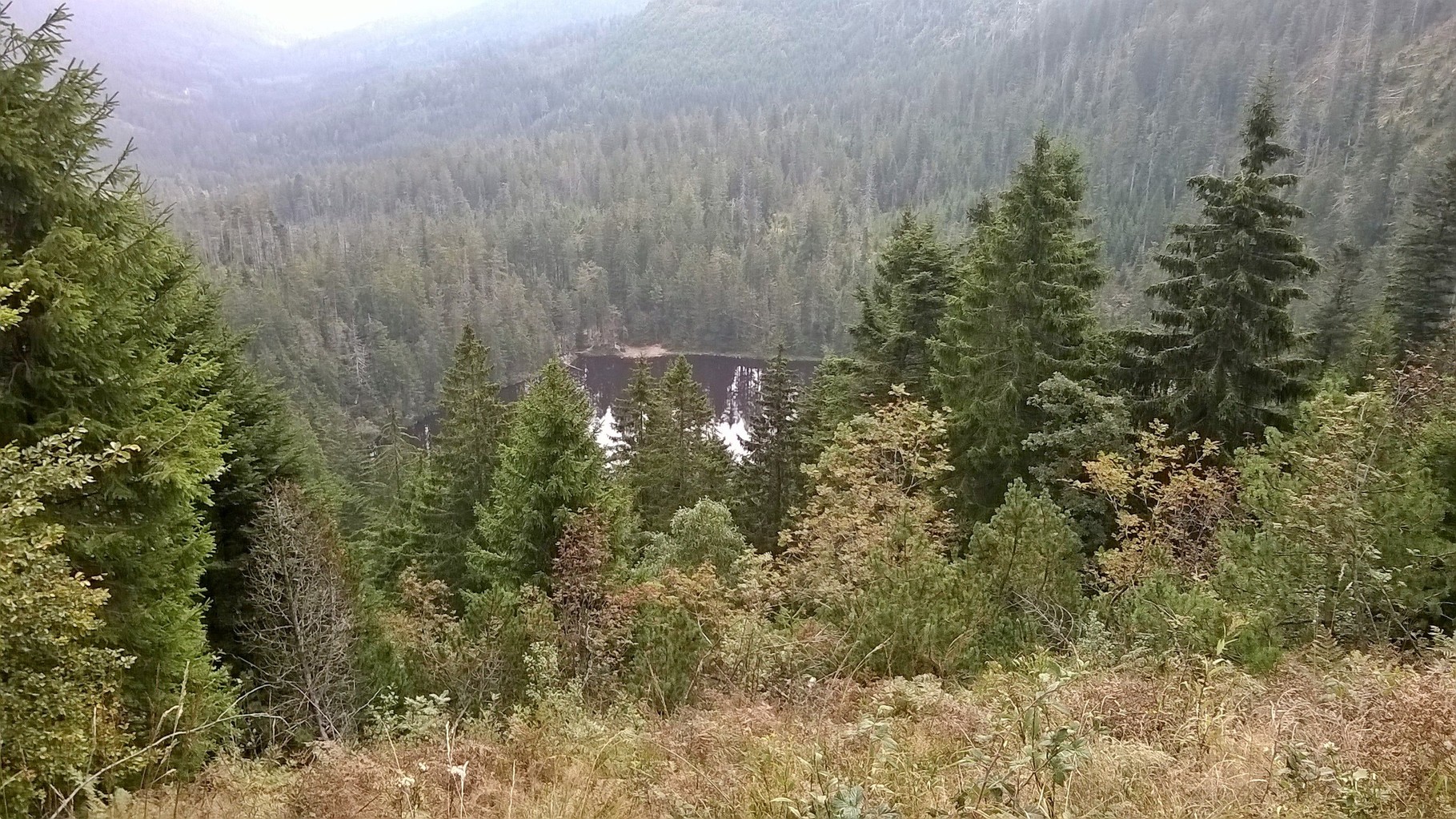 Wildsee