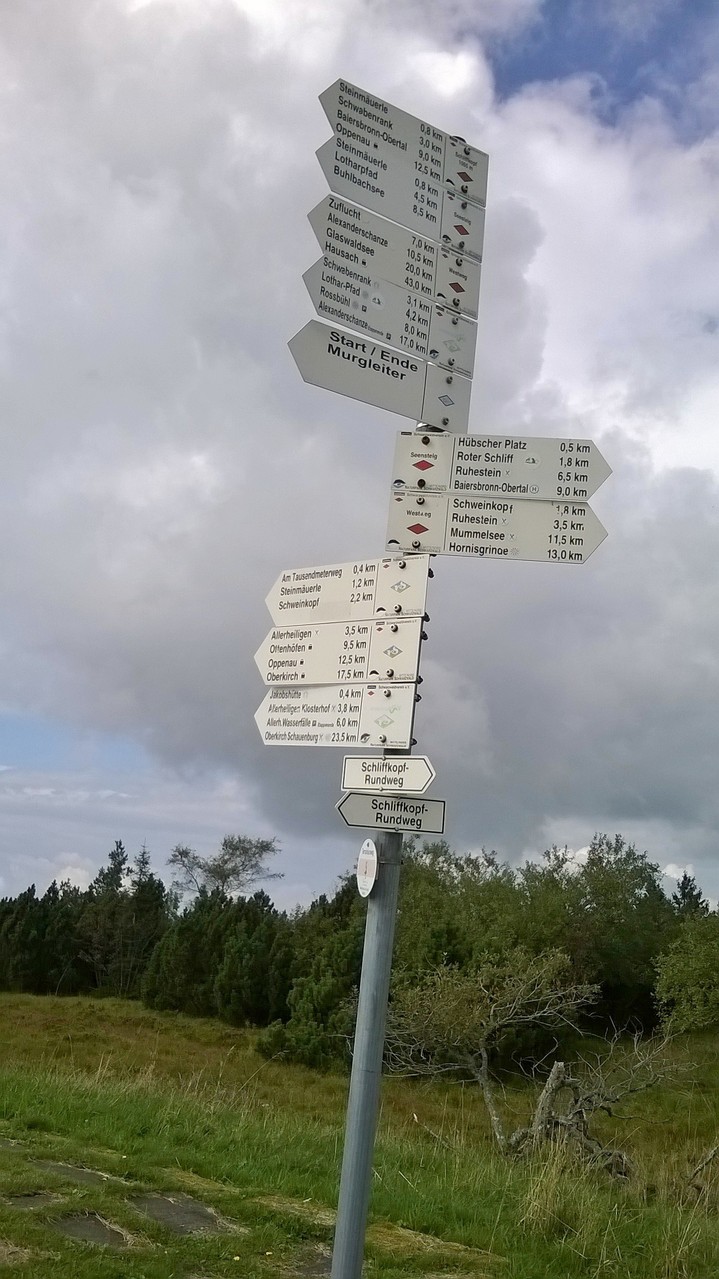 Schliffkopf