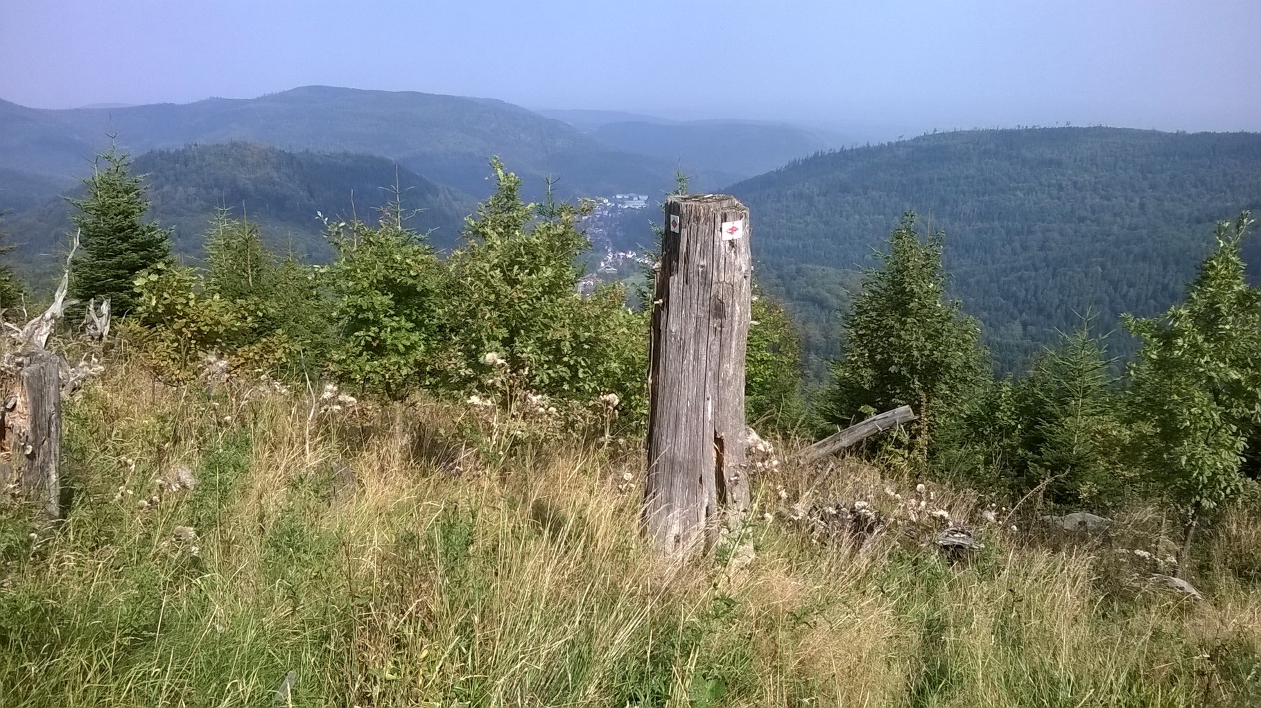 der gigantische Blick ins Rheintal