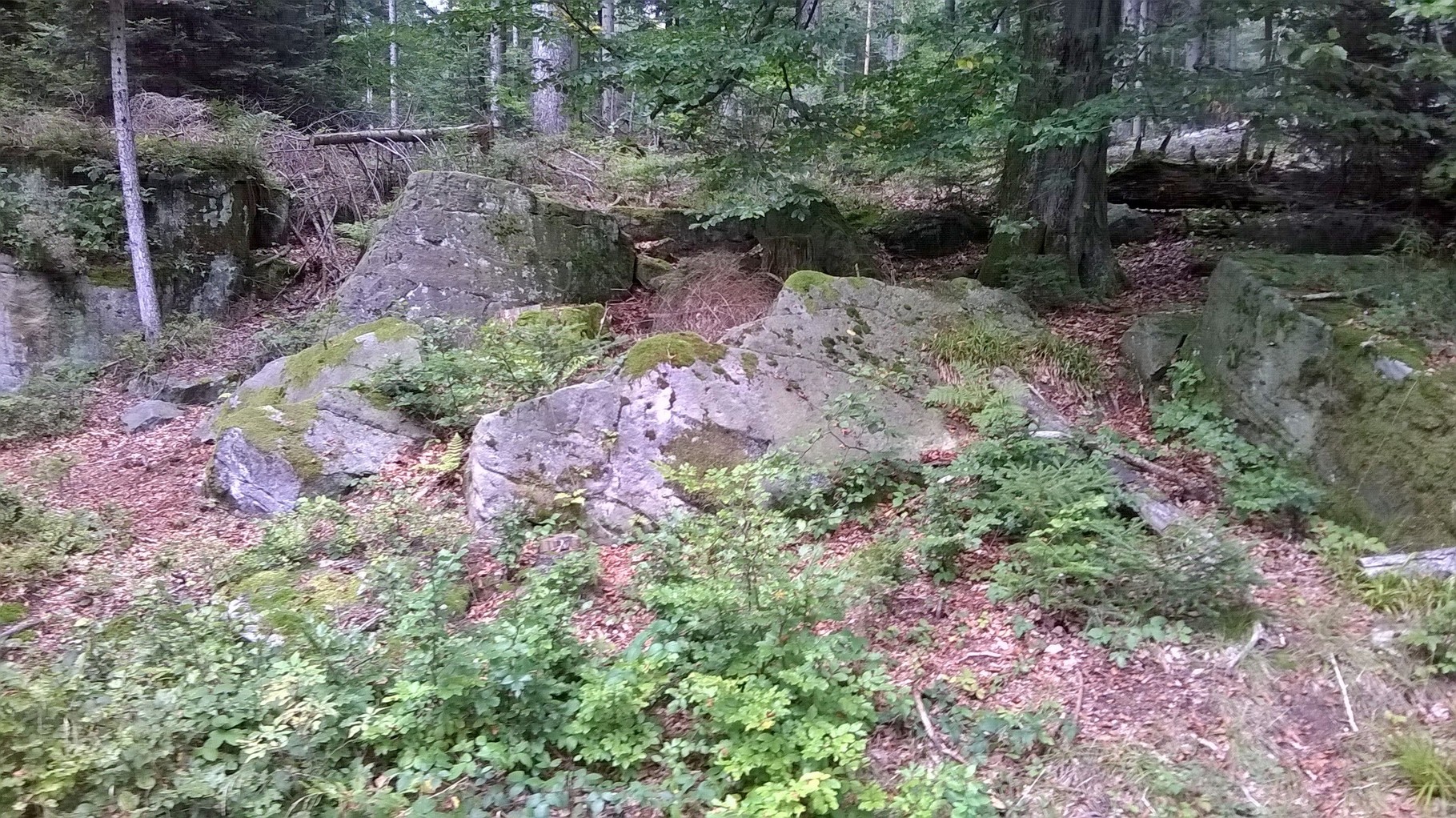 Volzemer Stein