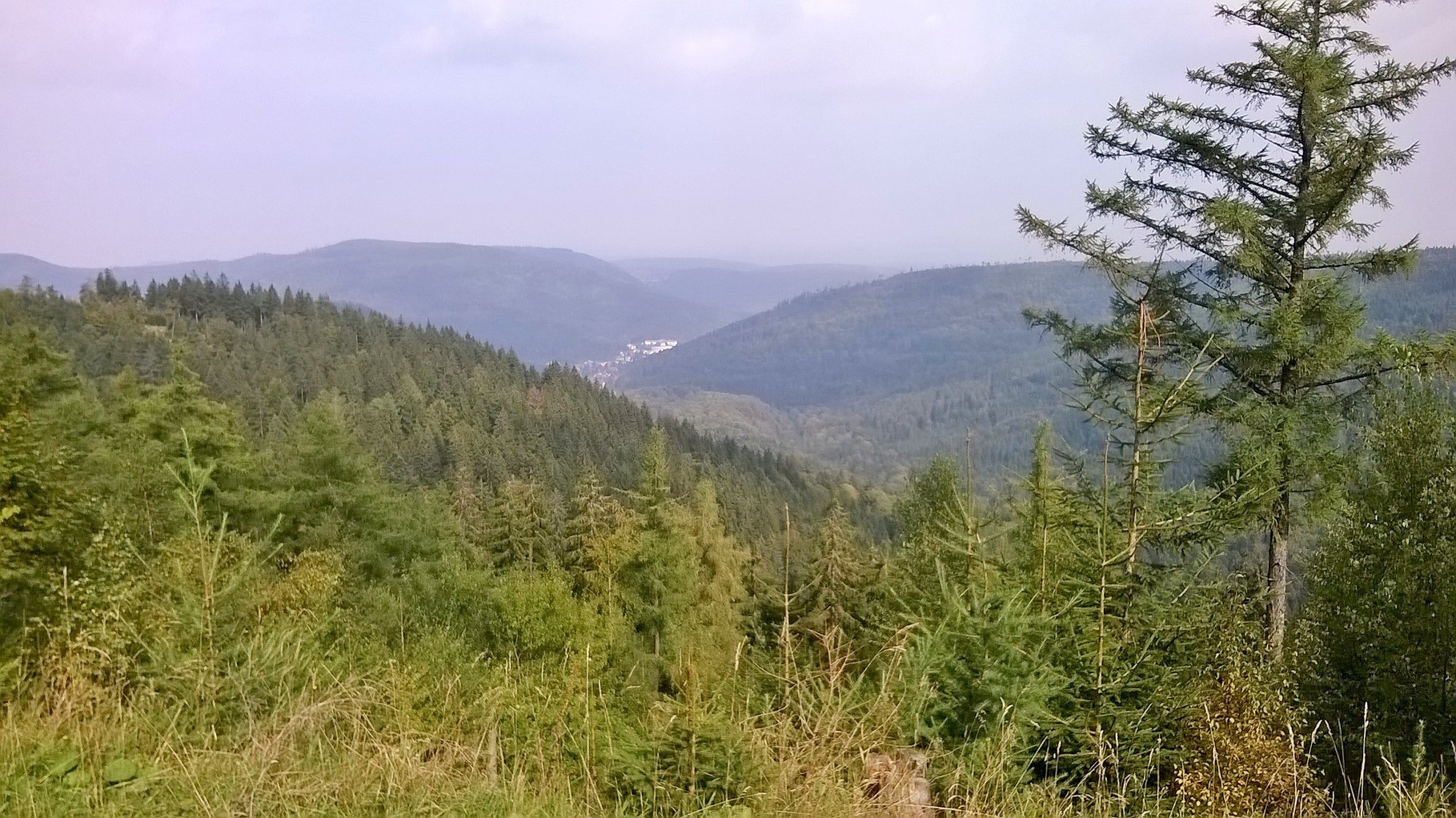 der gigantische Blick ins Rheintal