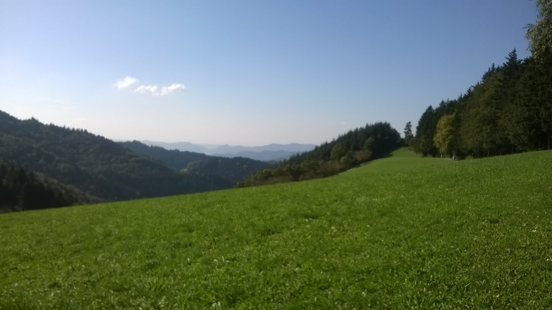 Berauf Richtung Brandenkopf