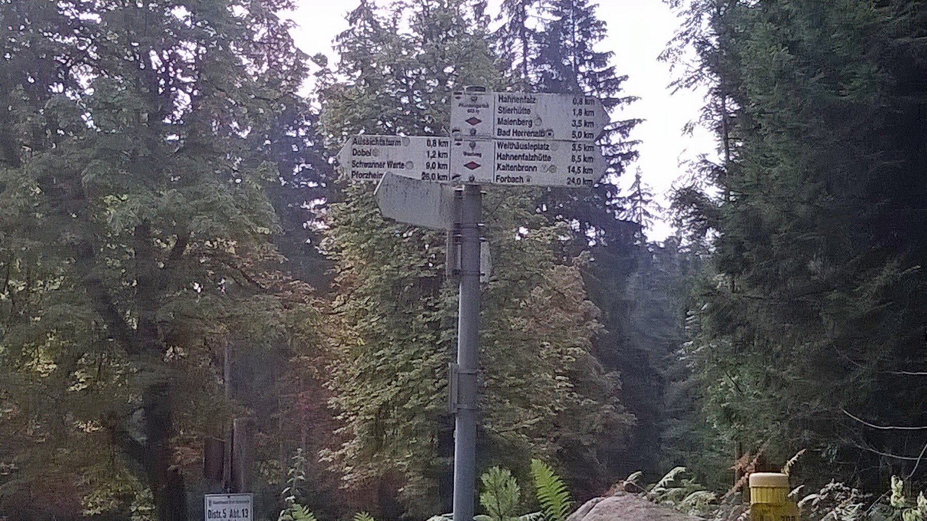 durch den Wald