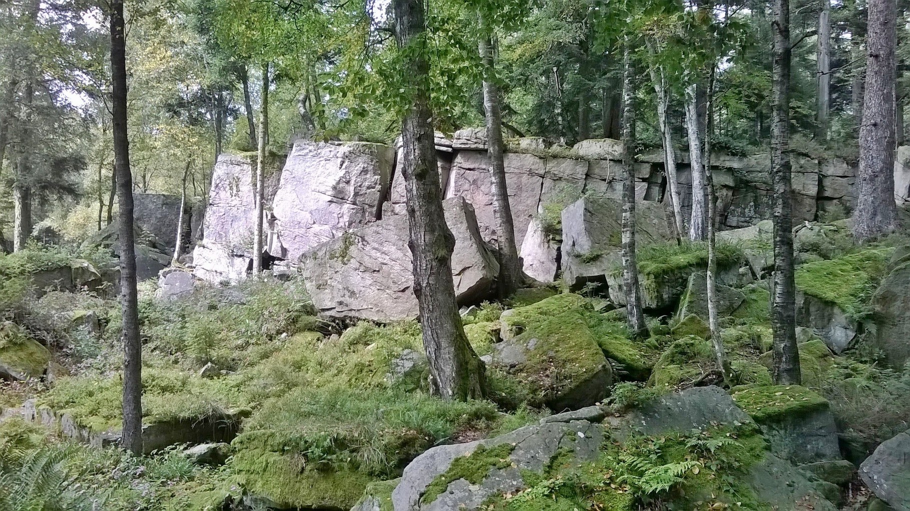 Volzemer Stein