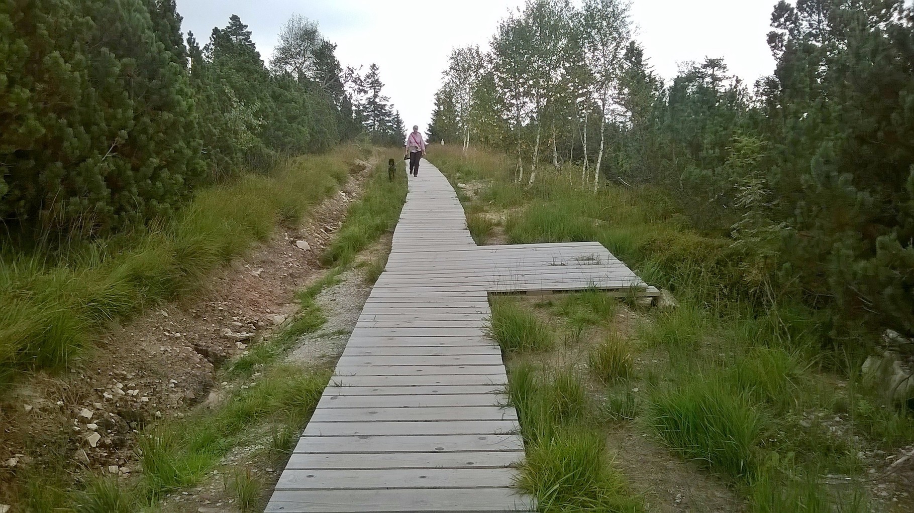 Hochmoorweg