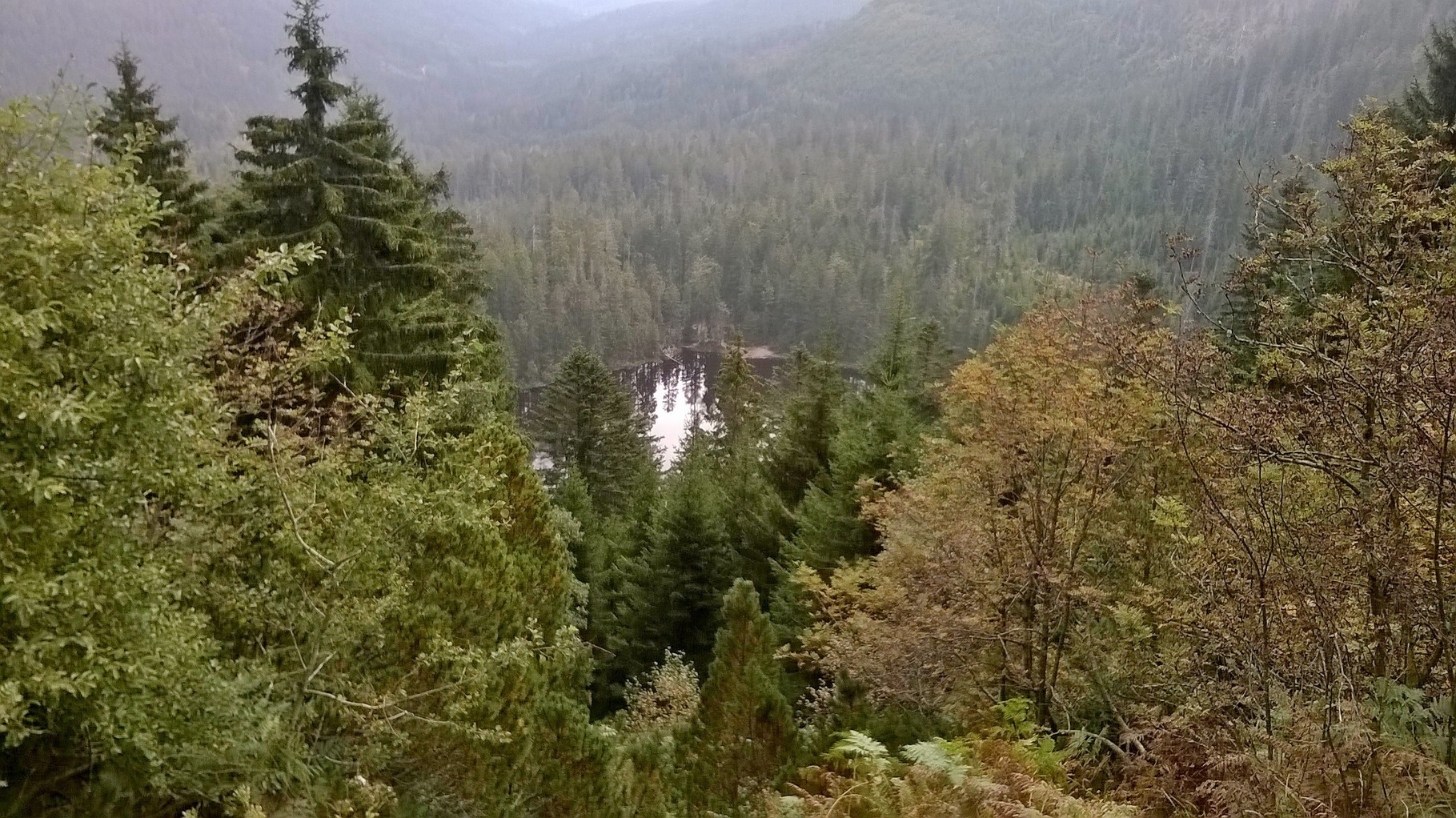 Wildsee