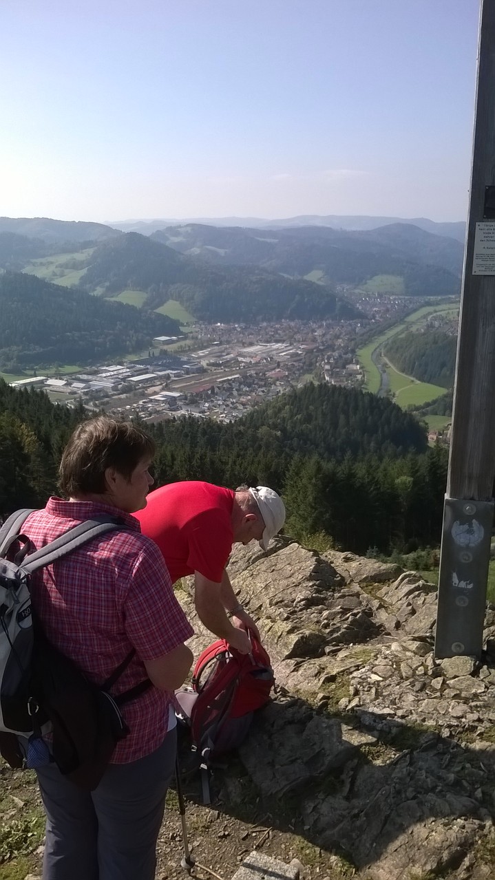 Blick auf Hausach