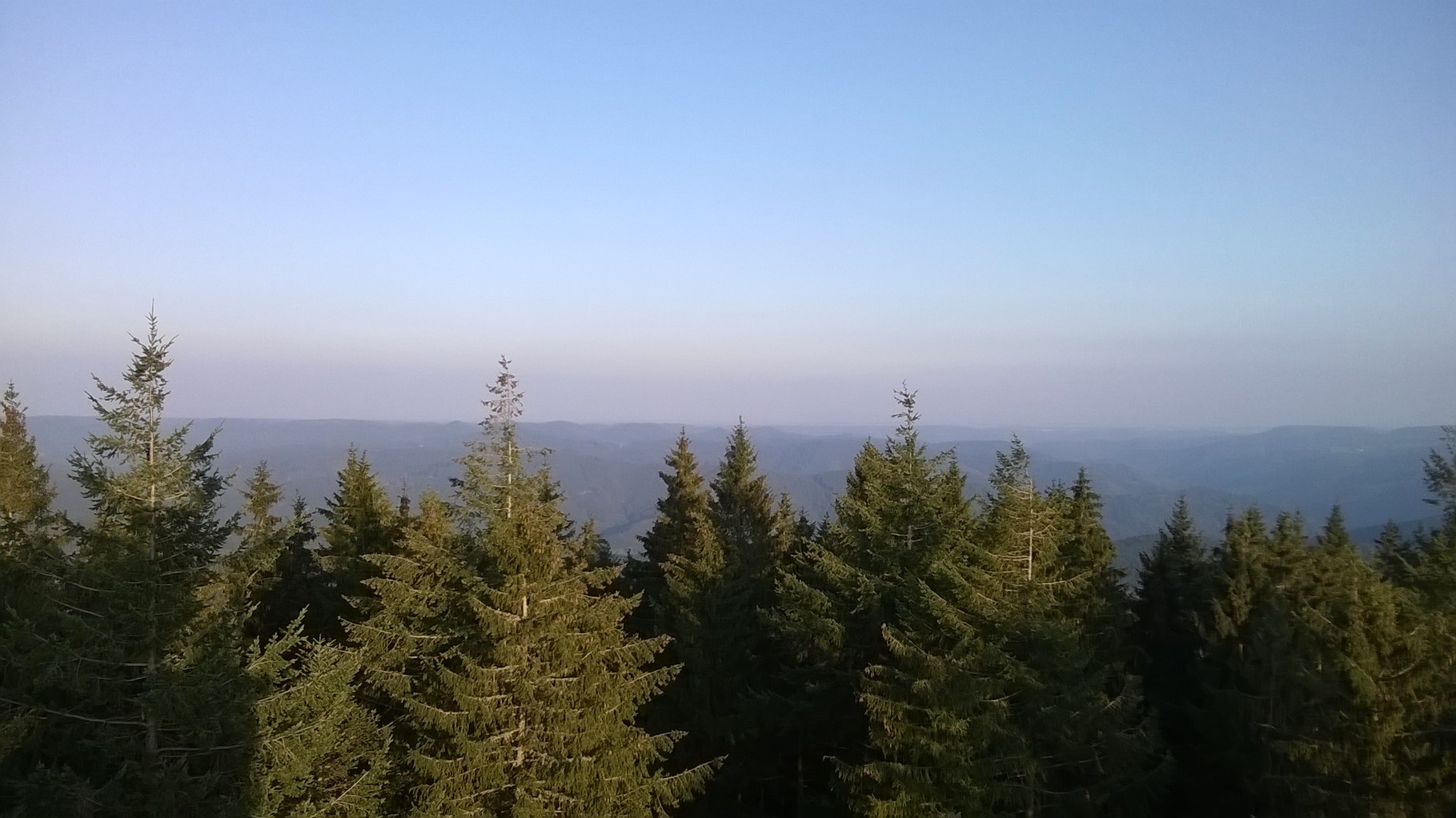 Blick vom Brandenkopf
