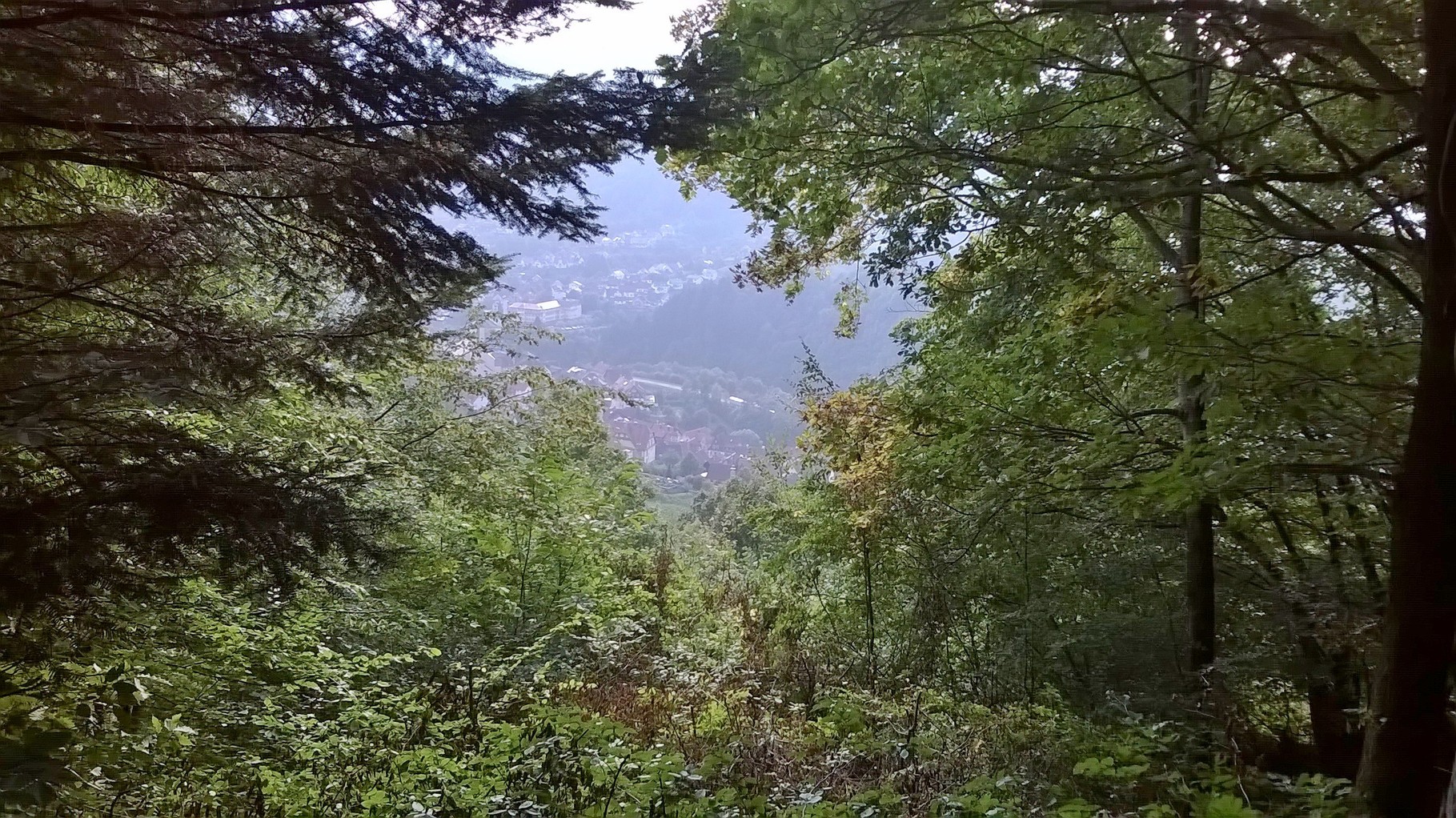Forbach ganz unten