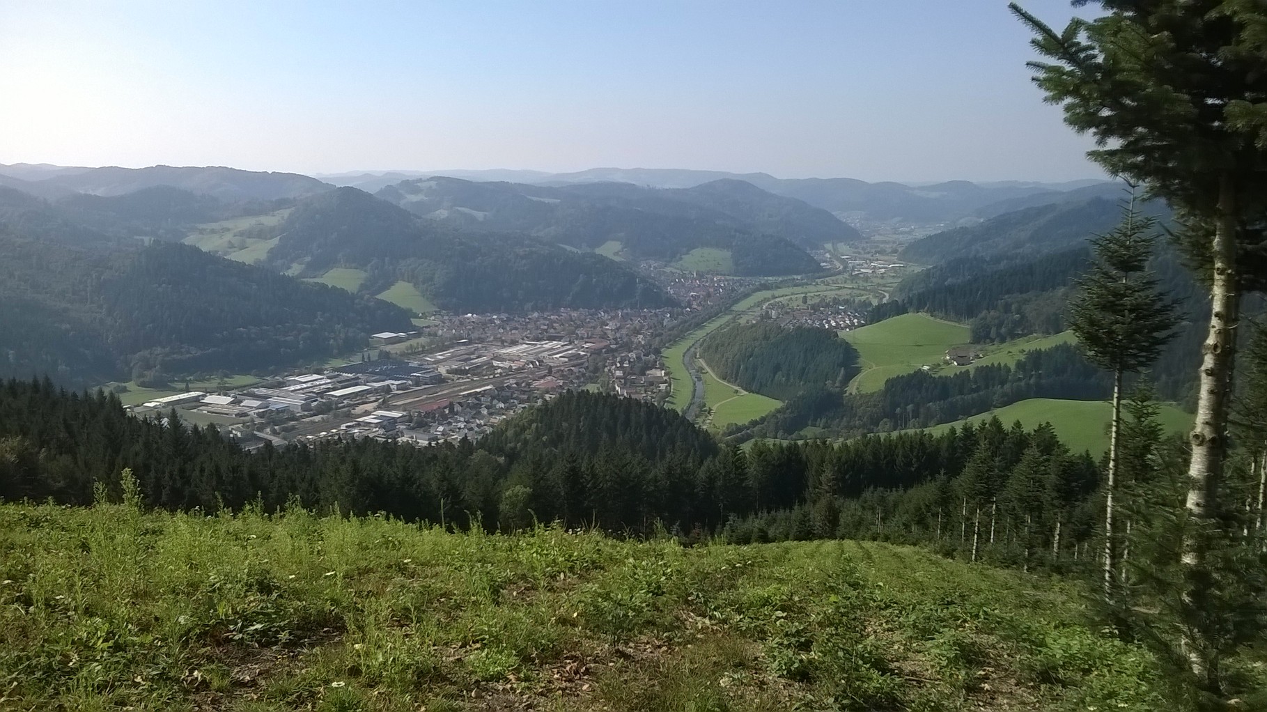 Sicht vom Spitzfelsen
