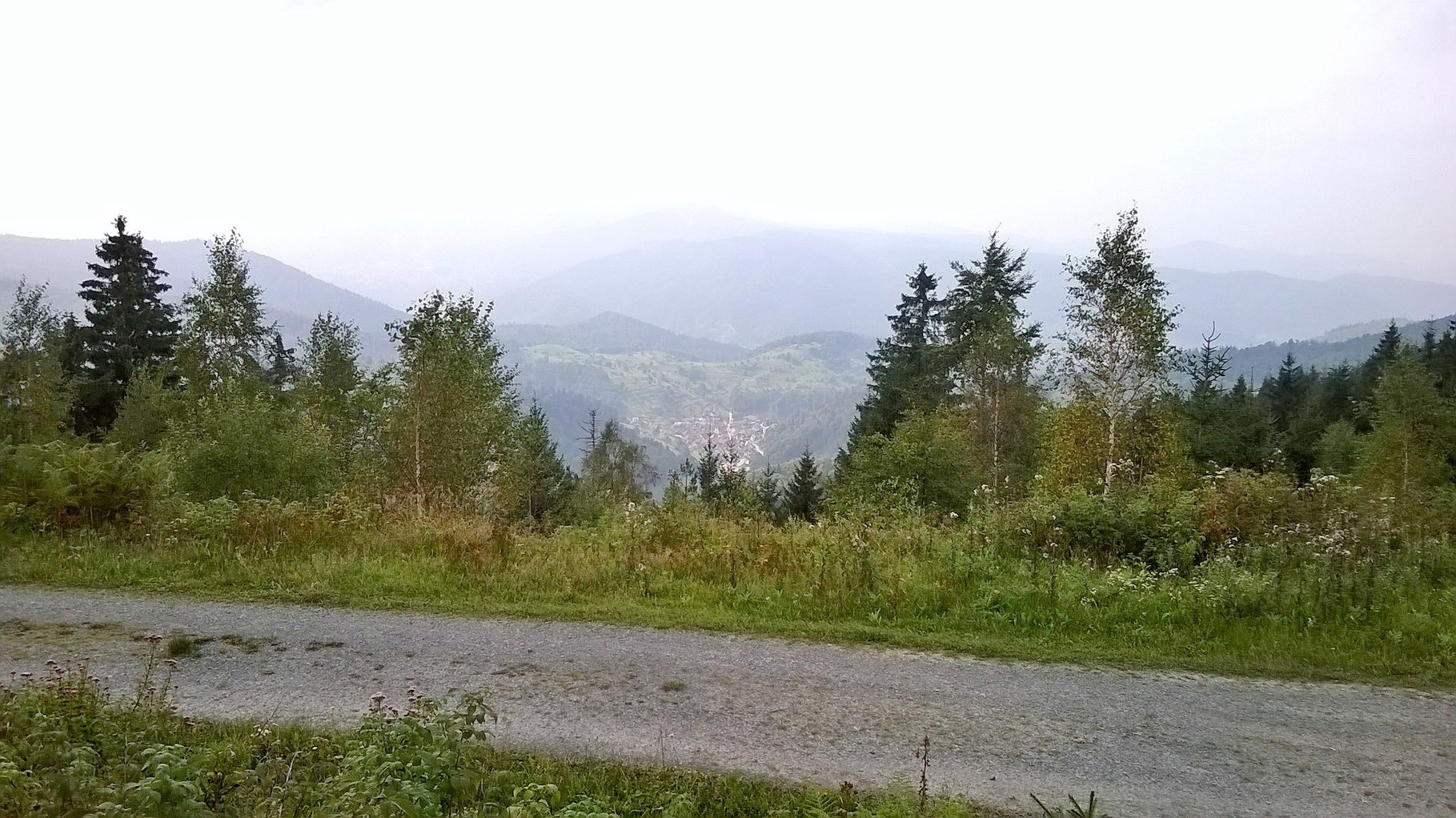 Blich Richtung Rhein