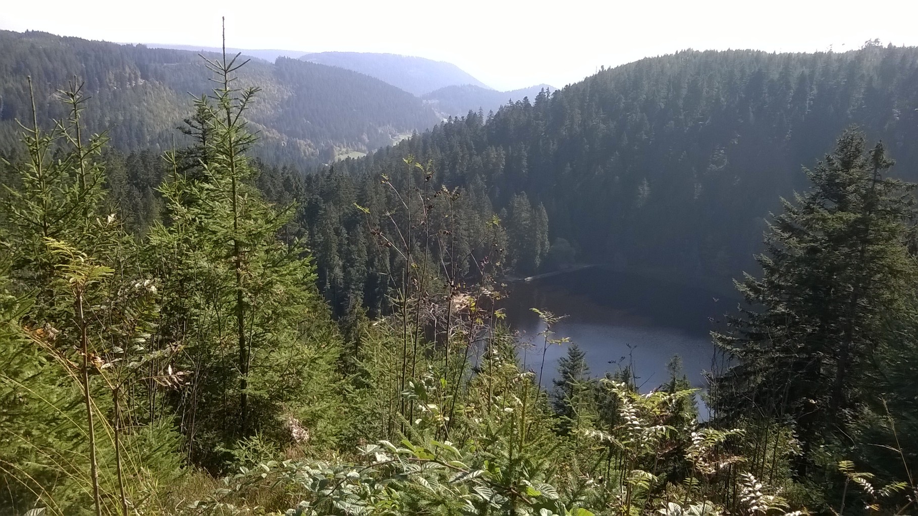 Der Glaswaldsee