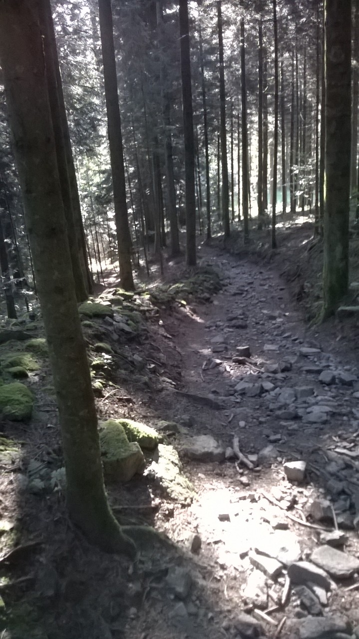 nicht gerade der beste Weg