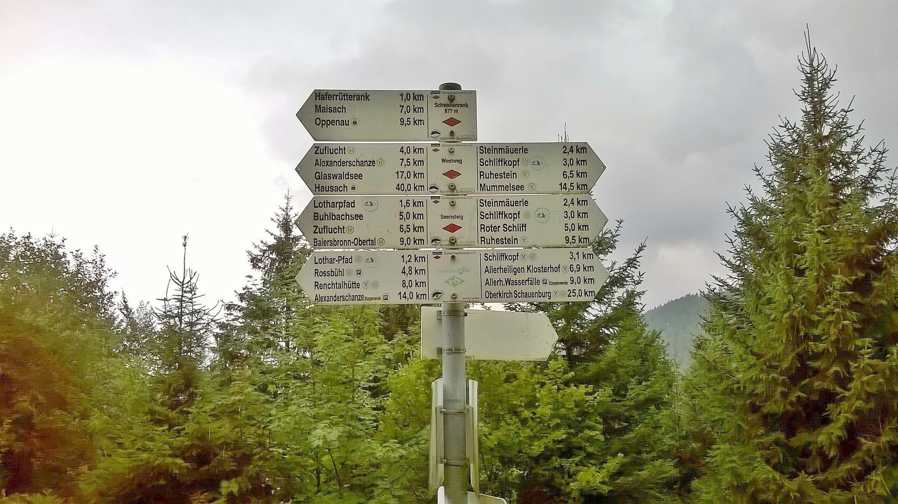 1,2 km vor dem Lothar Pfad