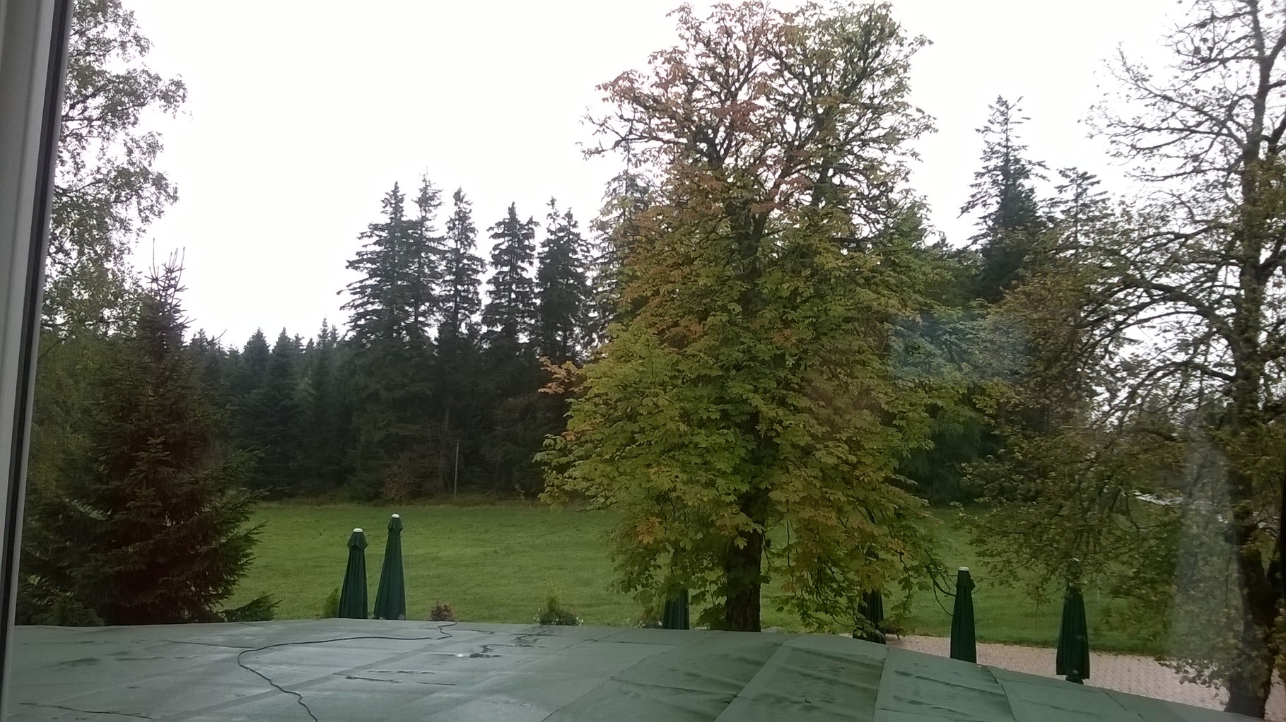 am Morgen kam der Regen