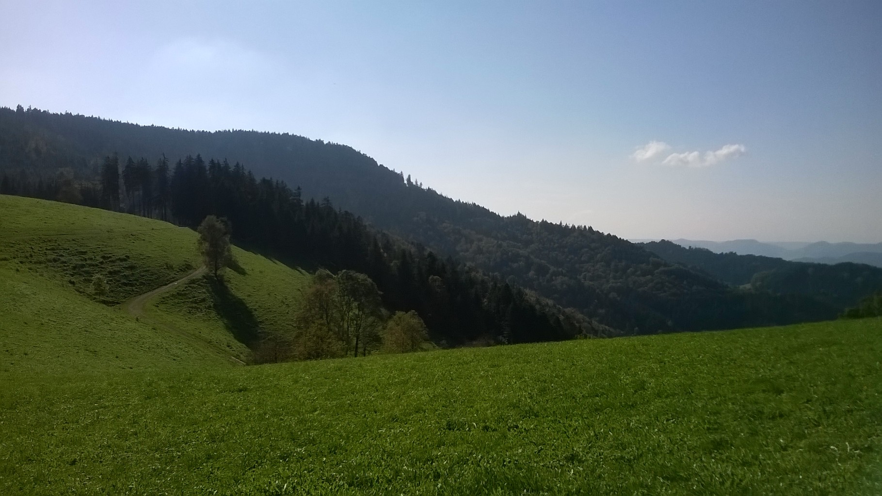 Berauf Richtung Brandenkopf