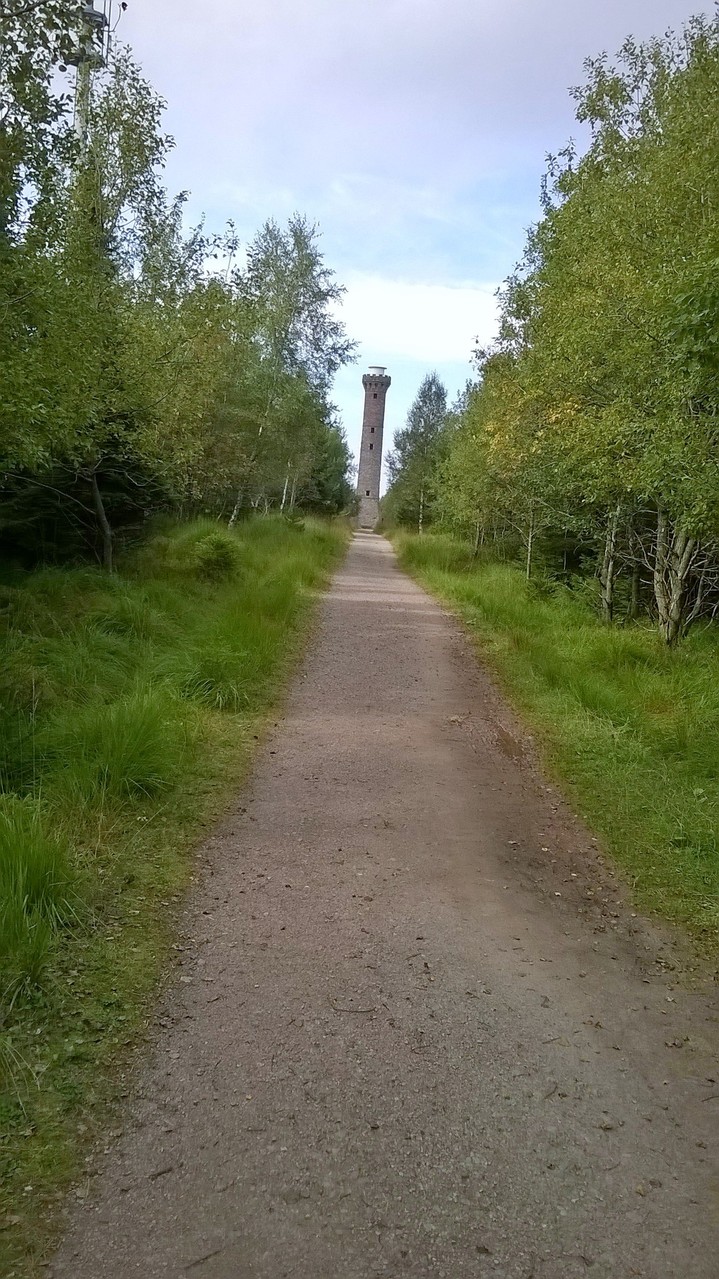 Der Kaiser Wilhelm Turm Hohloh 986 m ü. n. N.