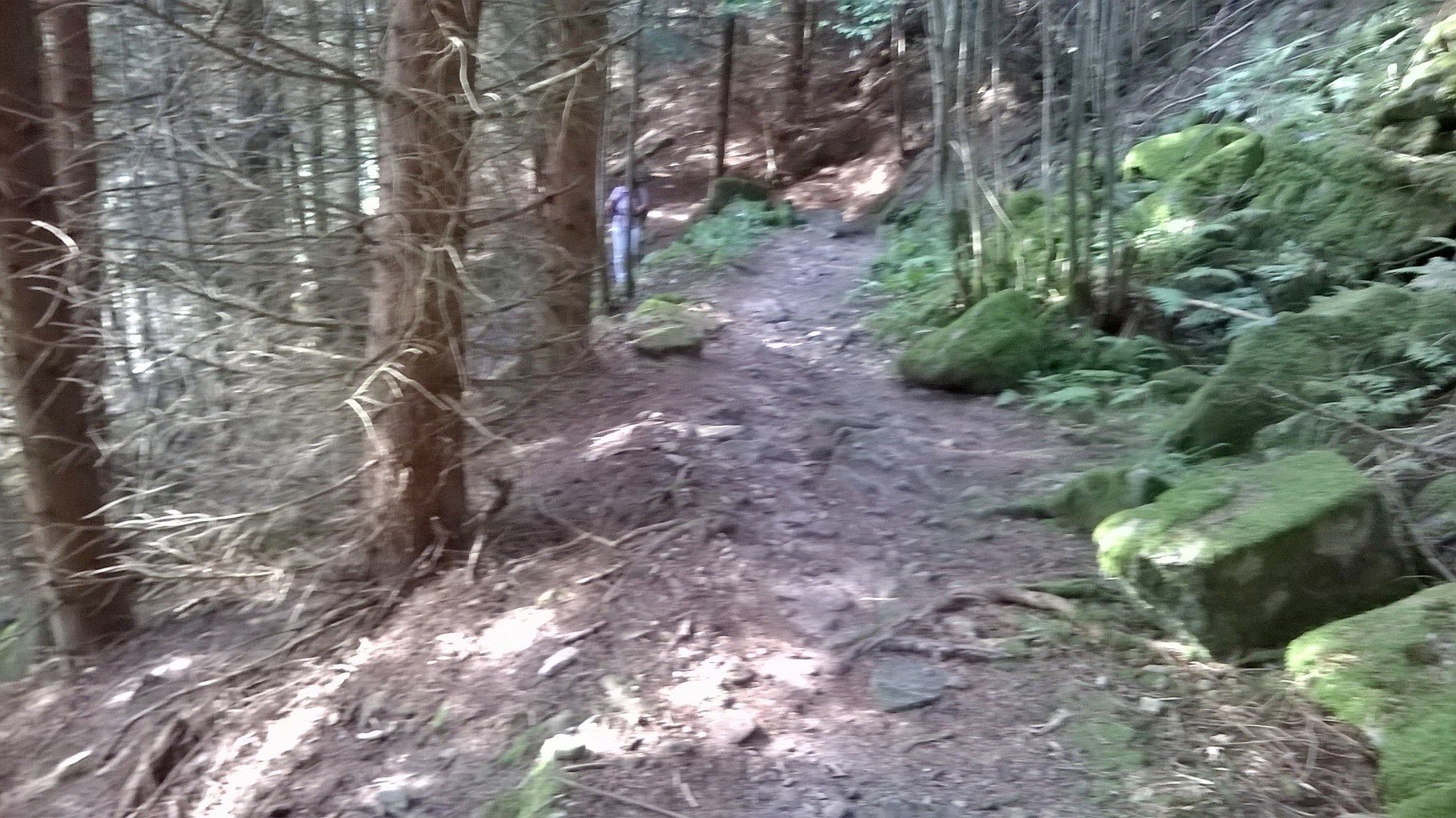 steil abwärts ins Murgtal