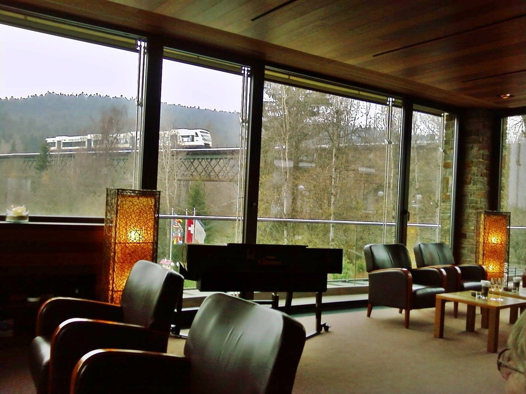Der Schienenbus  bei Lauterbad im Schwarzwald vom Hotel aus
