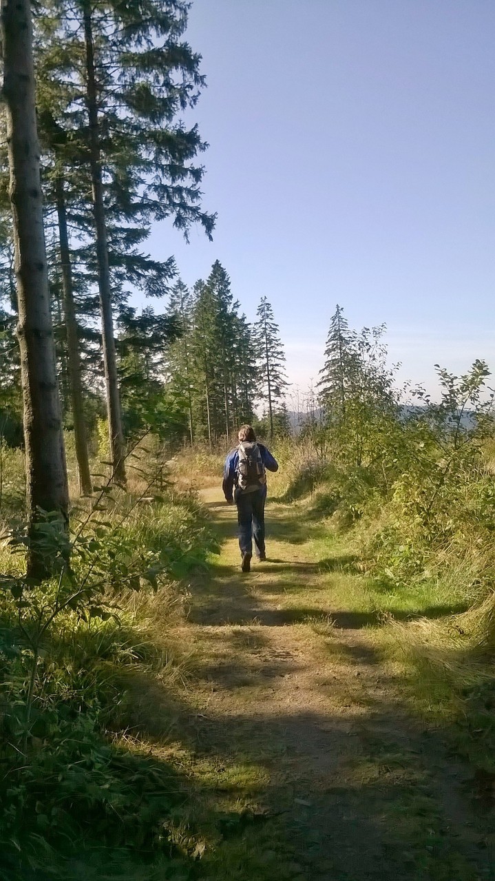 ....................und weiter gehht´s