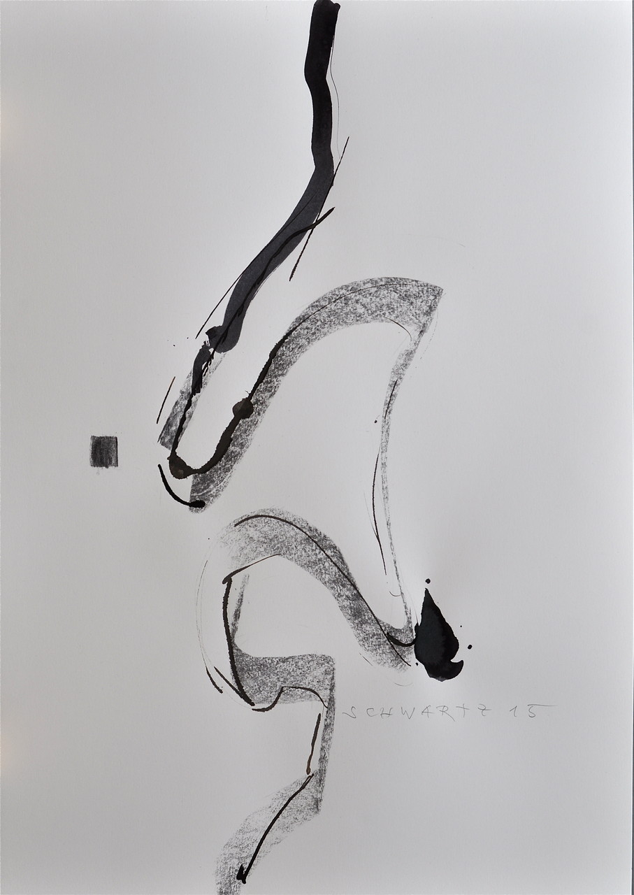 Chinoiserie | 2015 | 59 x 42 cm | Zeichenkohle und Tusche auf Papier